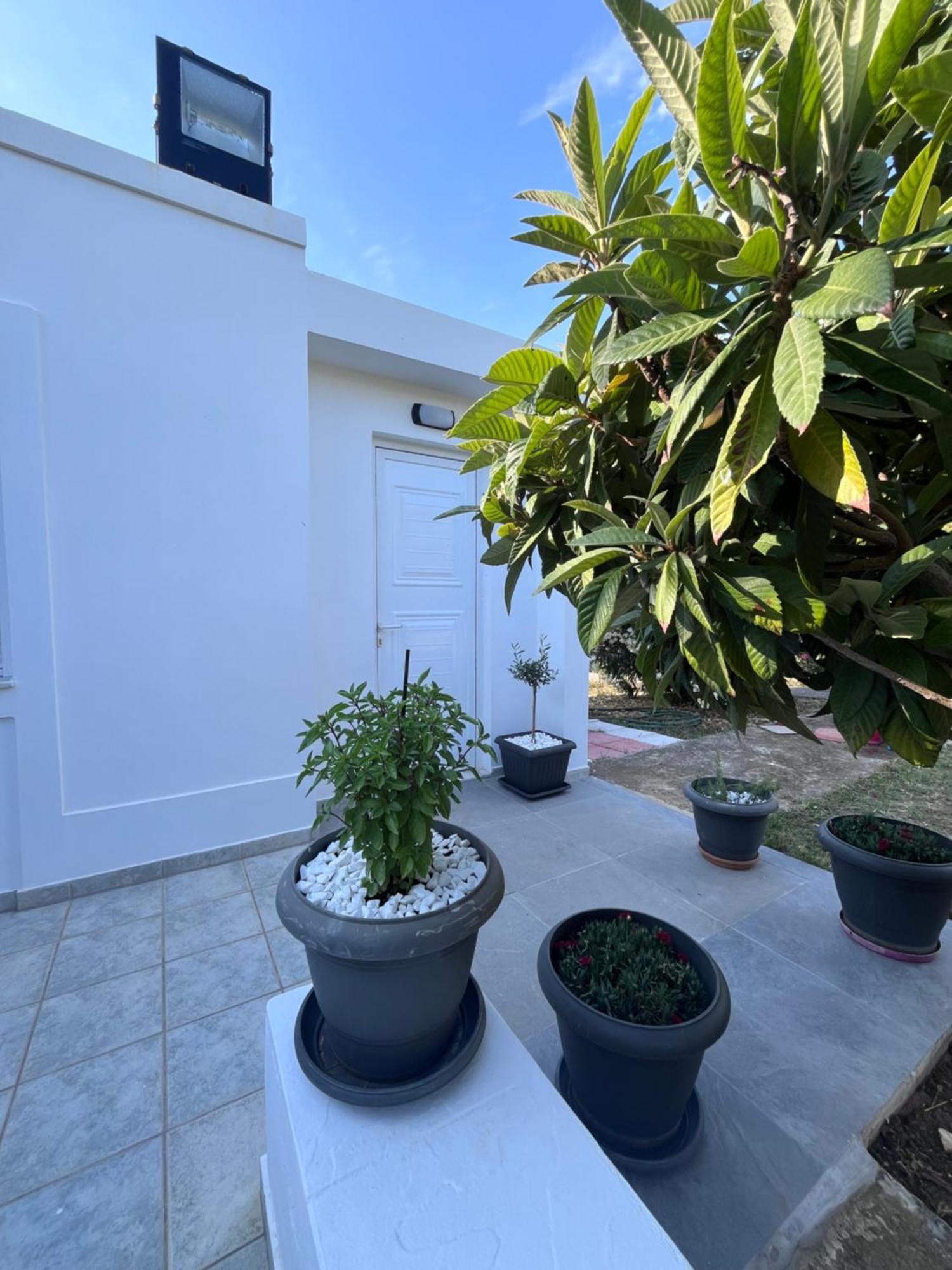 Kosaris Cottage Zipárion Εξωτερικό φωτογραφία